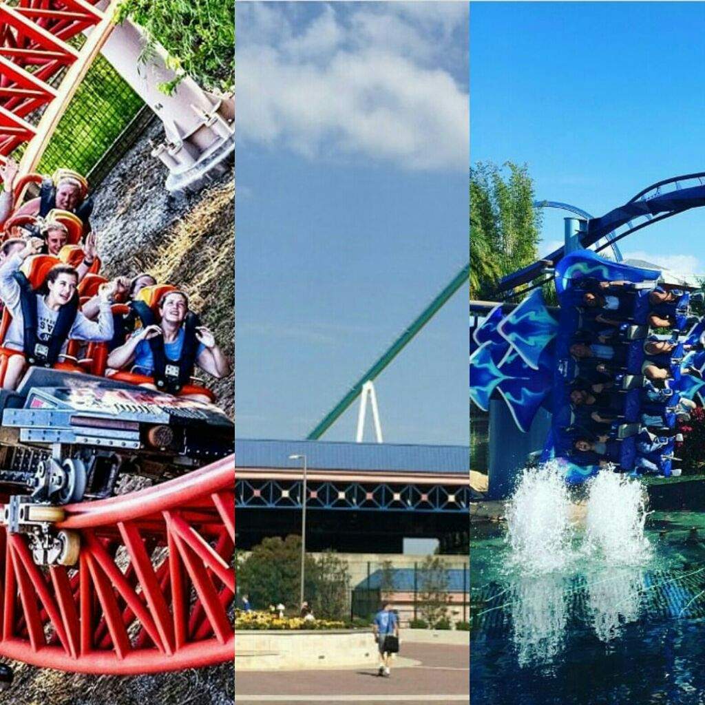 Basic Knowledge for a Coaster Enthusiast Quiz | Rollercoaster ...