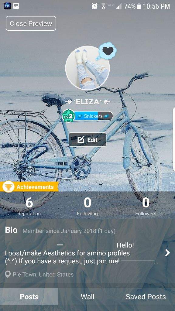 Light Blue Profile Aesthetic Aesthetic World Amino