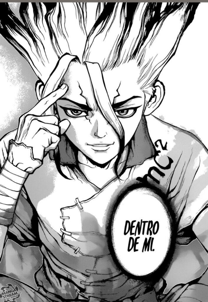 Dr Stone Anime Amino