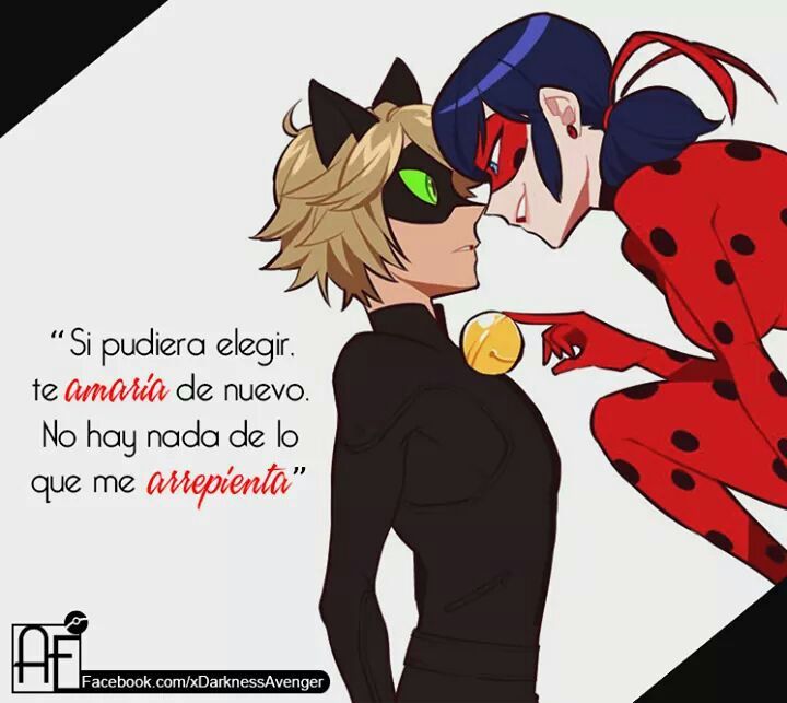 Frase de ladybug😍 | •Miraculous Ladybug Español• Amino