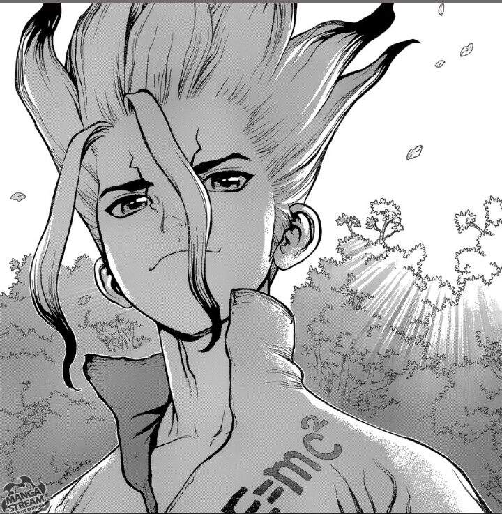 Dr Stone Anime Amino