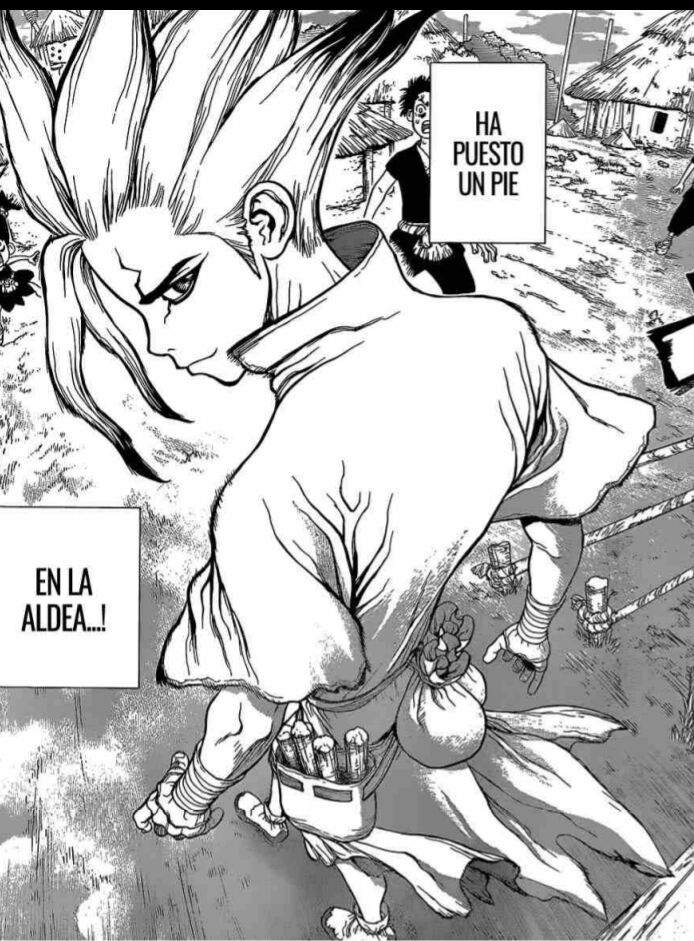 Dr Stone Anime Amino