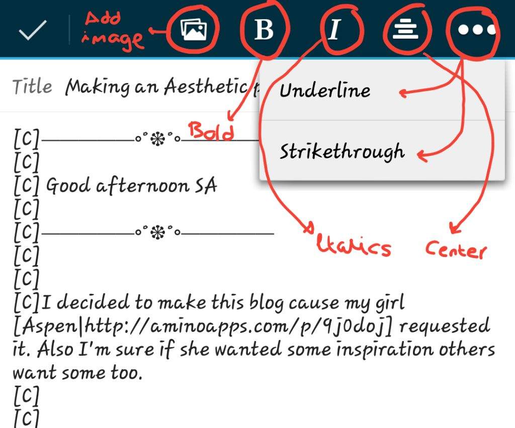 Aesthetic Bio Template Amino Copy And Paste