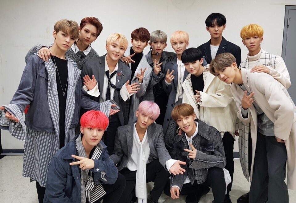 💎1 Year with SEVENTEEN💎 | Carat 캐럿 Amino