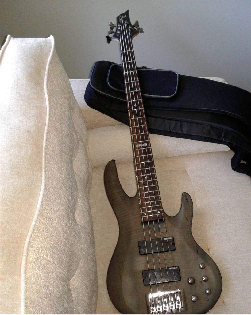 my-first-5-string-bass-metal-amino