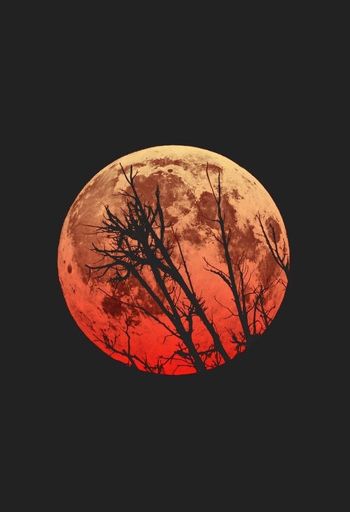 Blood Moon | Wiki | Pagans & Witches Amino