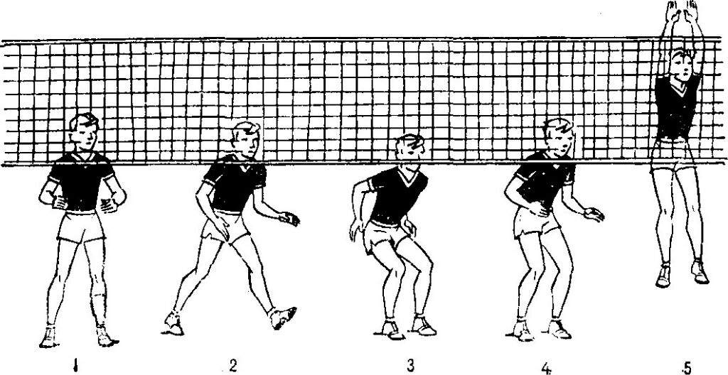 Схемы защиты в волейболе
