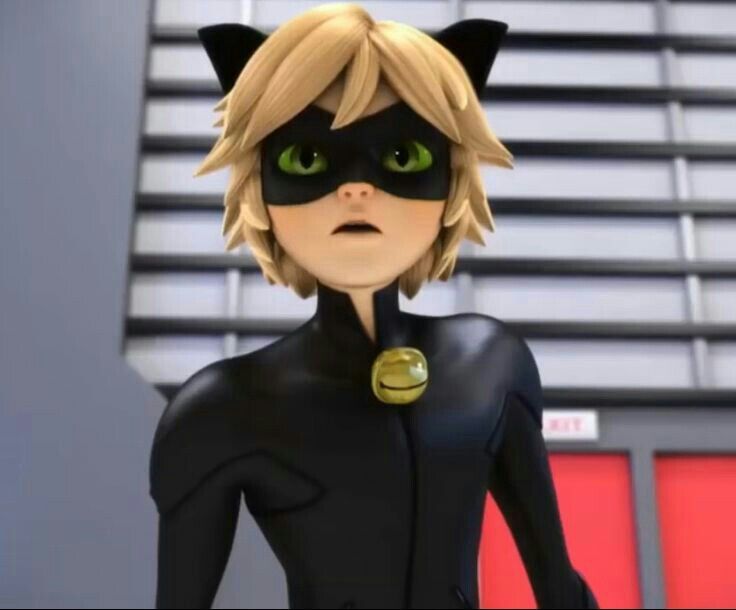 Imagenes sensuales😍😈 del chat noir😻😄😇 | •Miraculous Ladybug Español• Amino