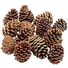 amino-•°Inactive PineCone°•-11c5610f