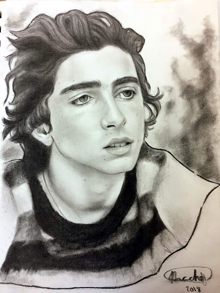 Timothée Chalamet Fanart | Drawing Amino