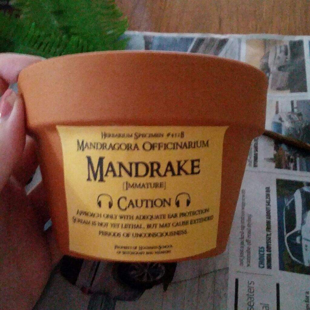 mandrake label