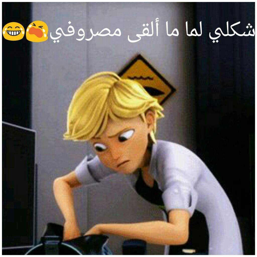 صور مضحكة عن ميراكلس Miraculous Arabic Amino