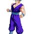 amino-SON GOHAN (OFC) DBS-1f8f090e