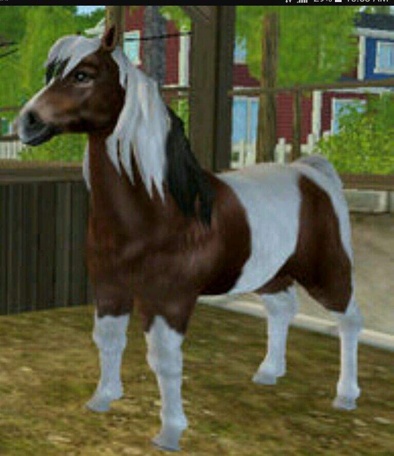 What Is The Earliest Level You Can Unlock Epona Star Stable Online Amino