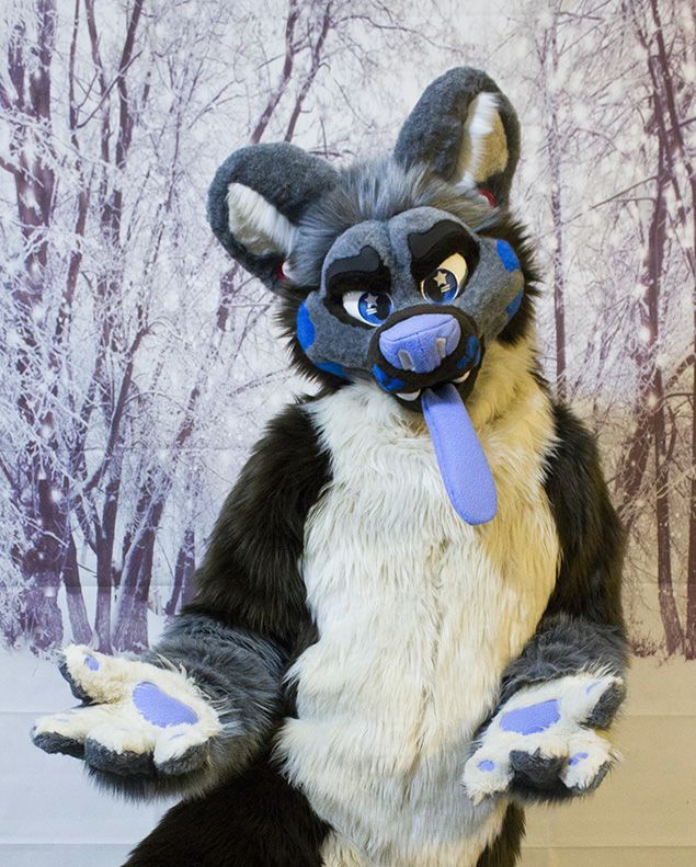 Blue Rabbit Studios | Wiki | Fursuit Maker Amino Amino