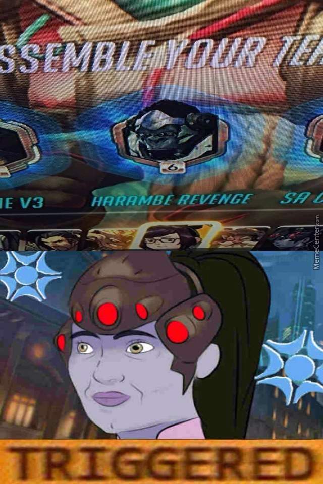 Featured image of post Widowmaker Meme