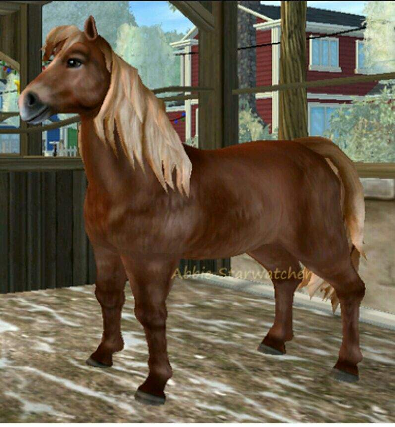 What Is The Earliest Level You Can Unlock Epona Star Stable Online Amino