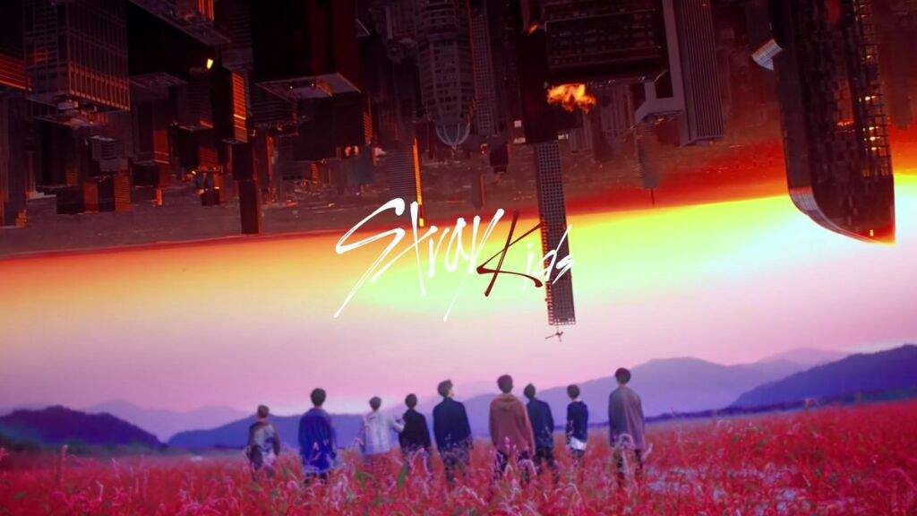 My Thoughts and Some Facts on Stray Kids💓 | K-Pop Amino