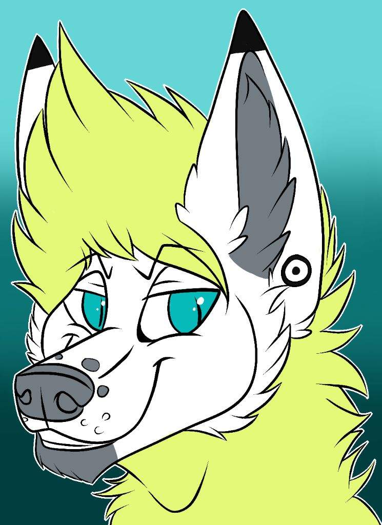 HOLLOW KONAMI DRACO🐺🐉 | Furry Amino