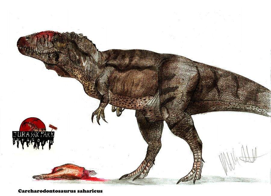 Paleo Analysis: Carcharodontosaurus Saharicus | Dinosaur Lovers Amino