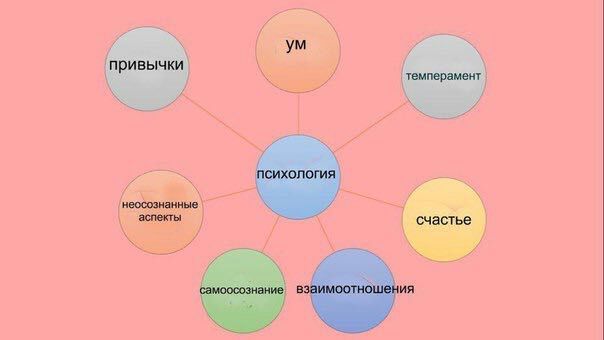 Оска и как ее создать-[C]• • • • • • ~ ʚĭɞ ~ • • • • • •
[C]Вступление
[C]• • • • • • ~ ʚĭɞ ~ • • • • • •

[CU]Всем привет! Н