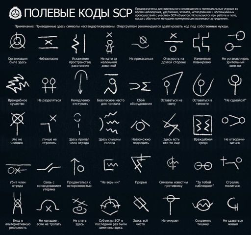 Полевые коды scp