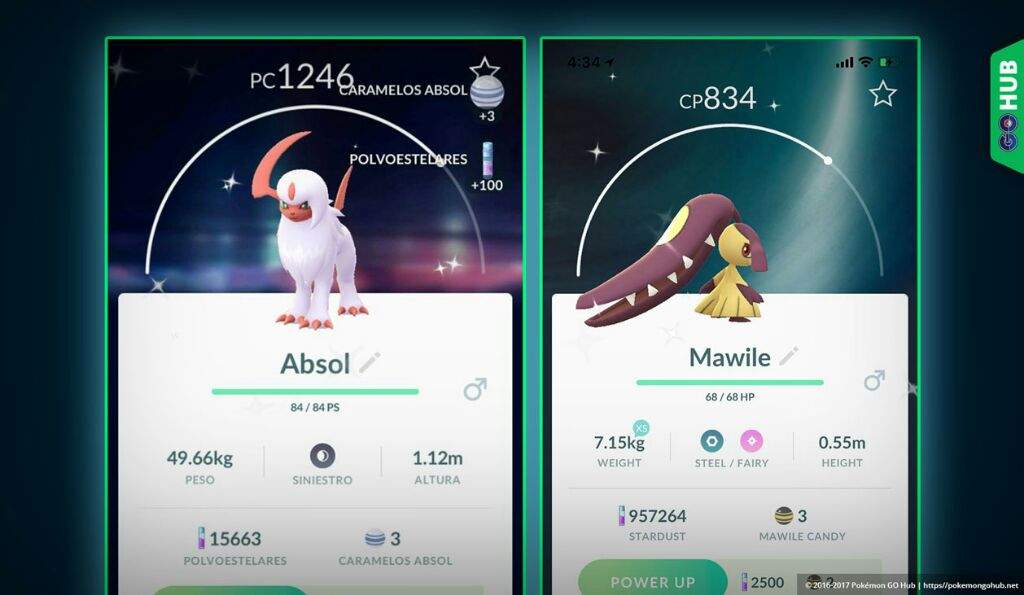25+ Picochilla Shiny Pokemon Go Pictures