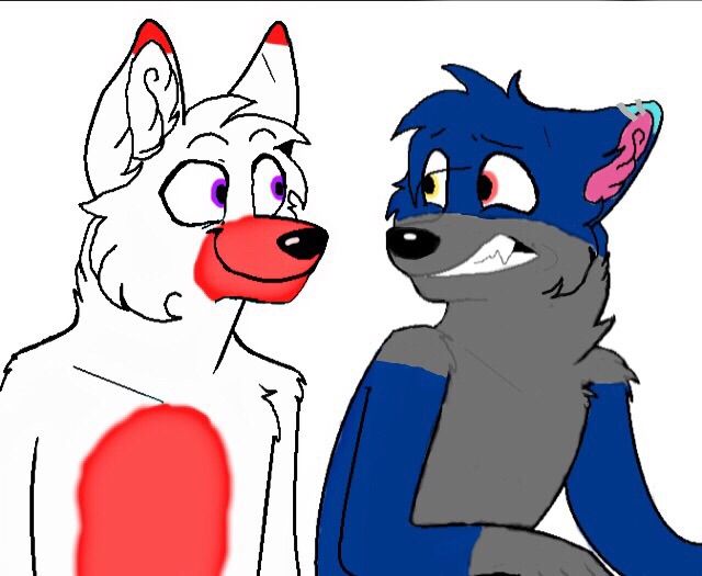 Maverick The Fox | Wiki | Furry Amino