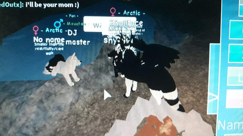 Roblox Image Of Wolves Life