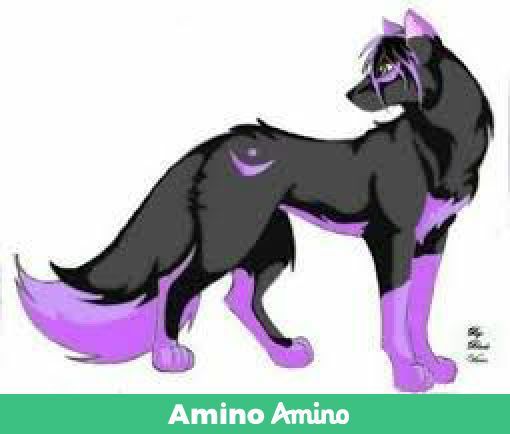 Гоку | Wiki | Животные, Аниме, Фильмы и т.д♪ Amino