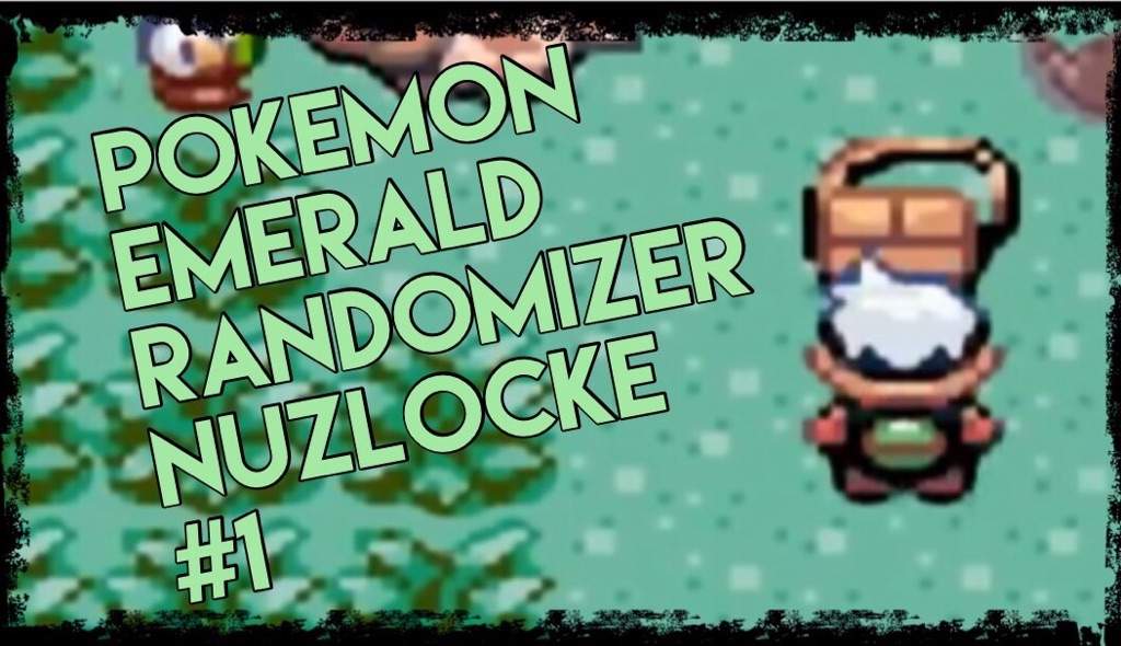 pokemon emerald randomizer download