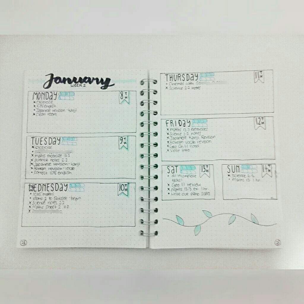 Week 2 of January - Weekly Log! | Studying Amino Amino