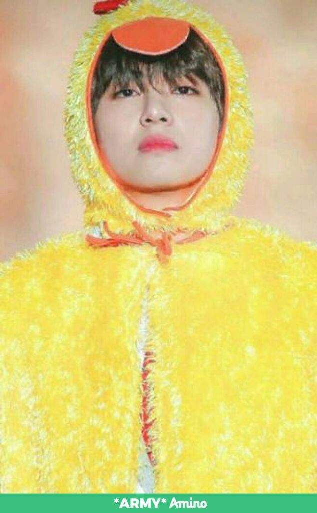 El pollito mas lindo 🐥😍 | Taehyung Oficial 🐯 Amino