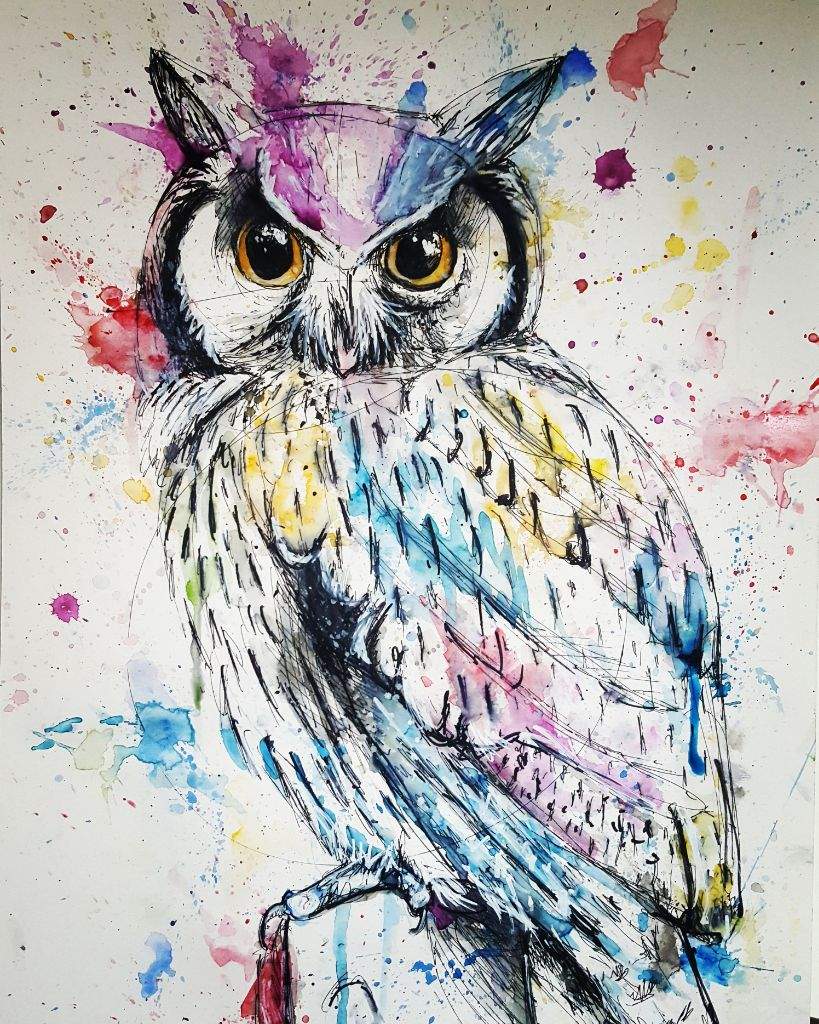 owl pastel tone watercolour splatter | Art Amino