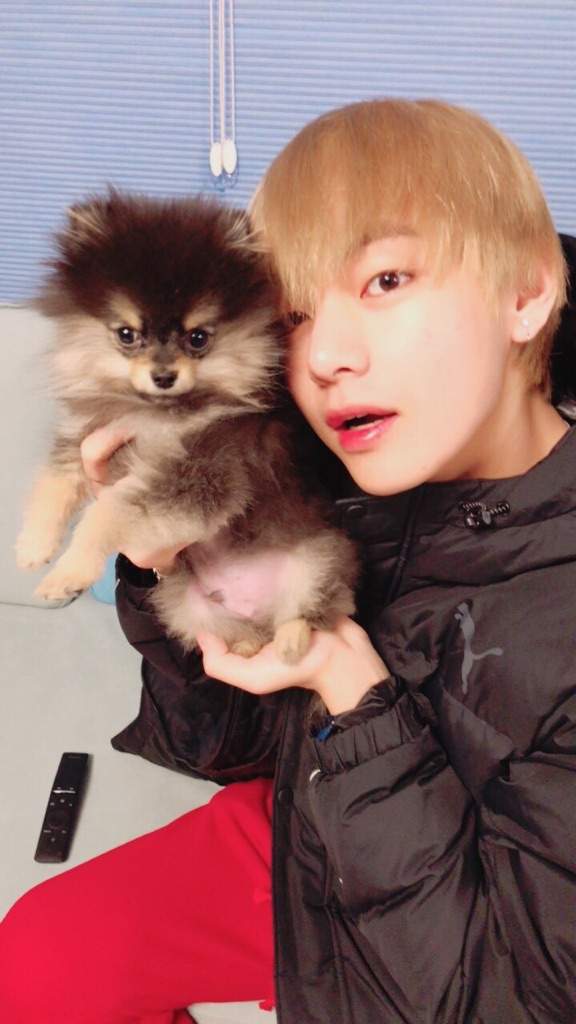 First Yeontan & Tae's selca | ARMY's Amino