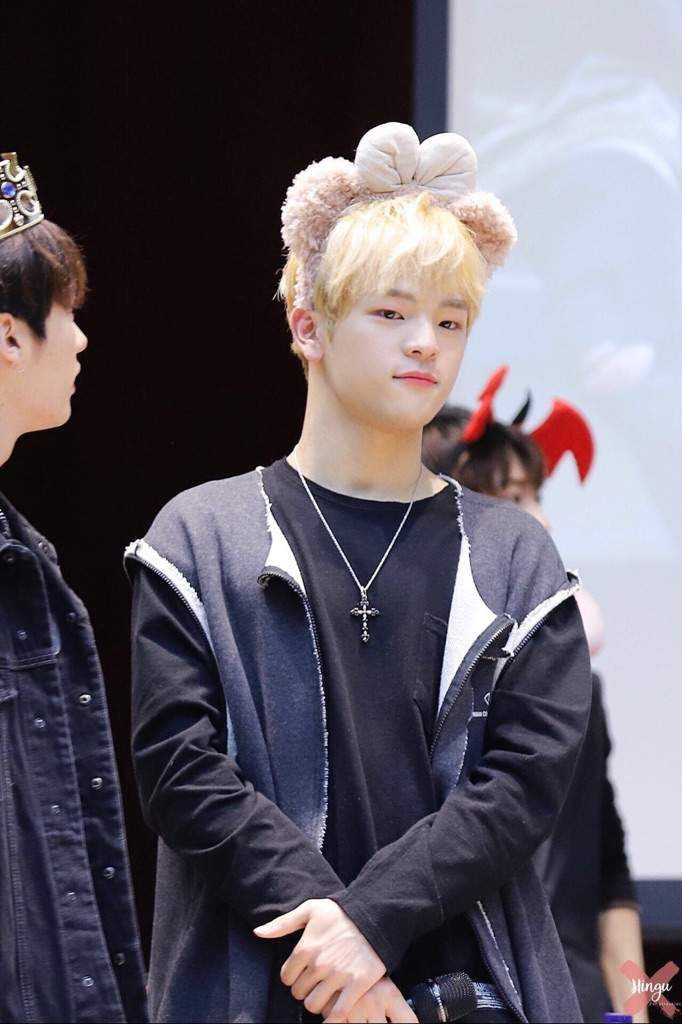 Stray Kids Fan Meet | Wiki | Stray Kids Amino