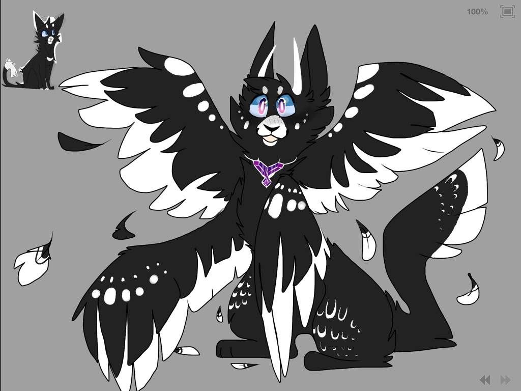 REDESIGN FOR RAVEN