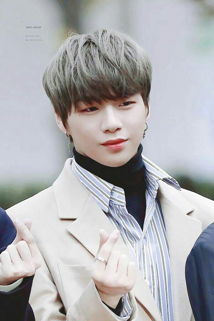 Kang Daniel | Wiki | K-Pop Amino