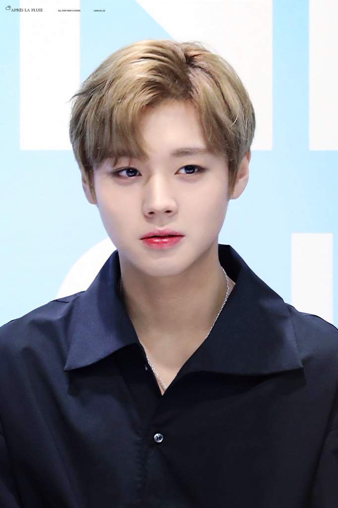 Jihoon Wanna One - Elvisctx