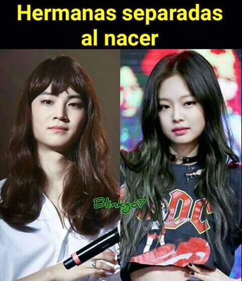 Los mejores memes de JENNIE Kim | •BLACKPINK• Amino