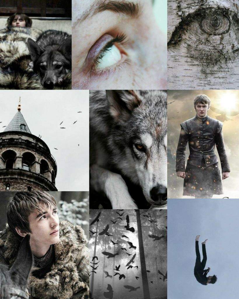 Casa Stark Aesthetic | Game Of Thrones BR Amino