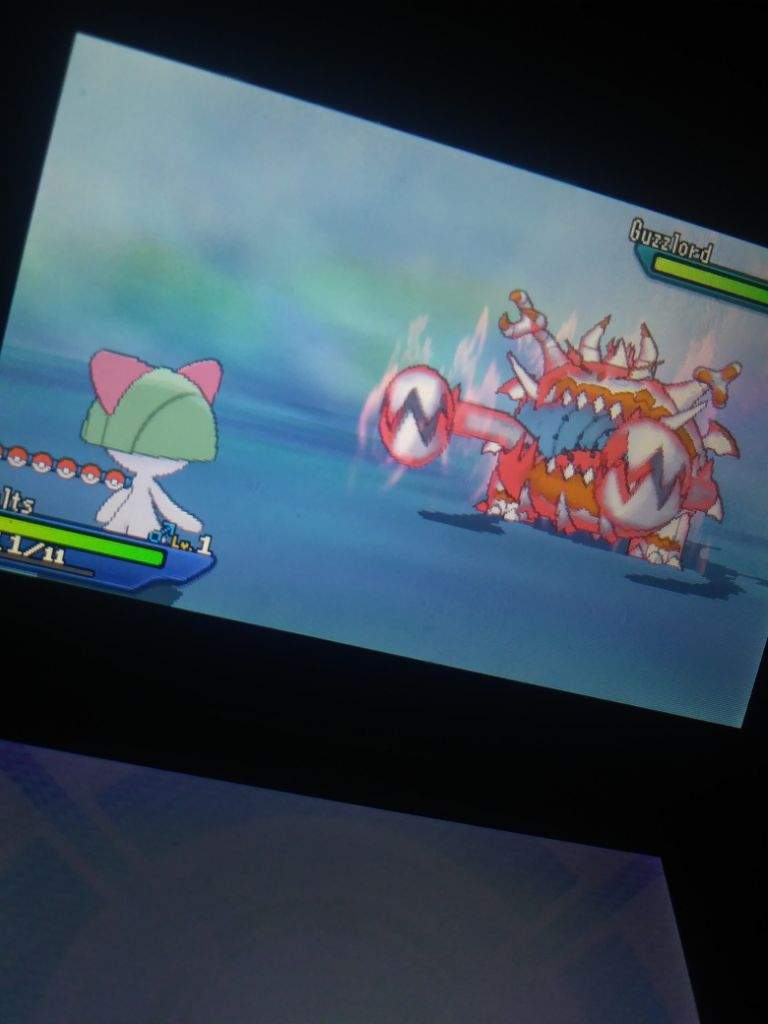 11 Days Later Shiny Guzzlord In Ultra Moon Shiny