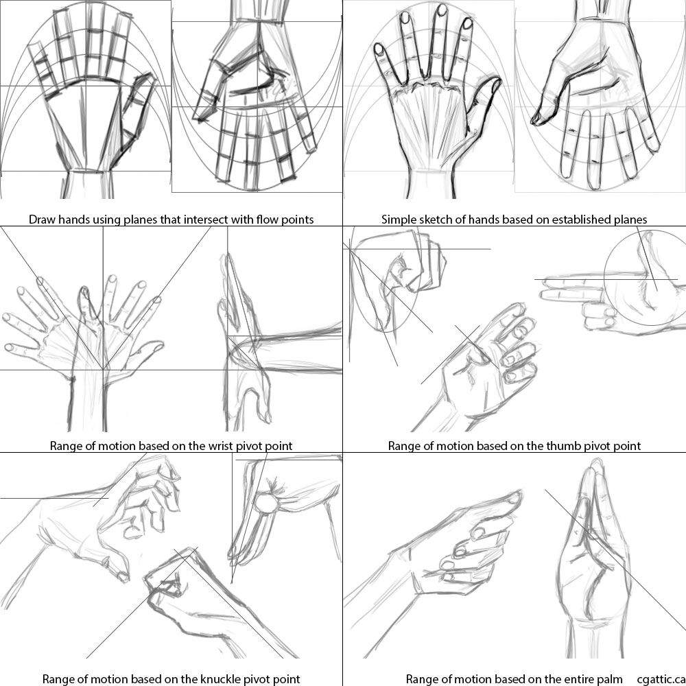 Hand References | Wiki | Traditional🖋Artists Amino