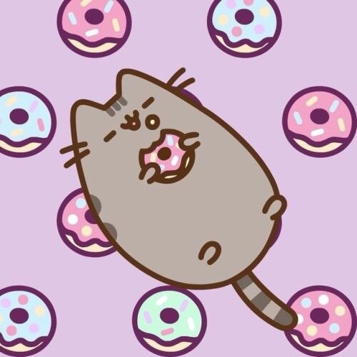 pusheen on a unicorn