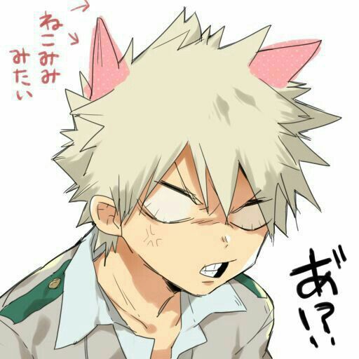 Apreciemos la belleza de Kacchan | Boku No Hero Academia Amino. Amino