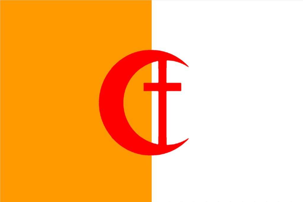 My Proposed Flag For Palestine And Coat Arms Islam Amino Amino