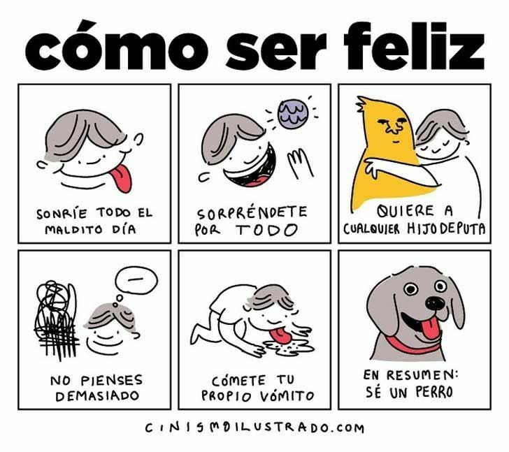 Como Ser Feliz Memes Amino Espanol Amino