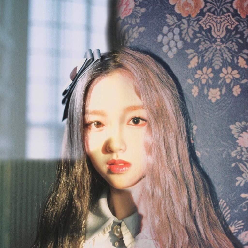 The Three Faces of GoWon + Short Theory | LOOΠΔ Amino Amino