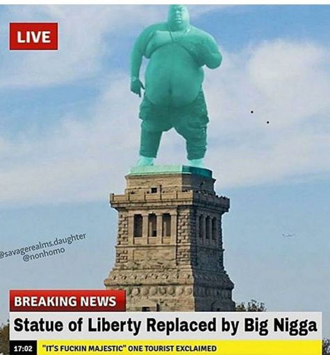 Protect the USA big nigga | Dank Memes Amino