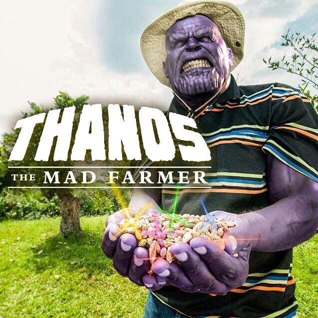 lego farmer thanos